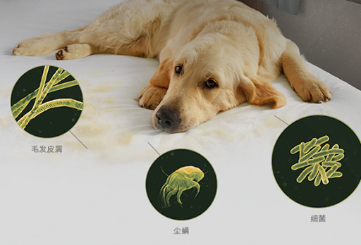 大发宝家居 | 春夏季节，如何对付蠢蠢欲动的螨虫？请接招